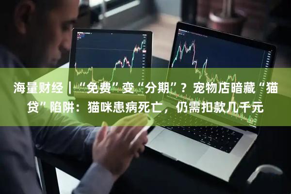 海量财经｜“免费”变“分期”？宠物店暗藏“猫贷”陷阱：猫咪患病死亡，仍需扣款几千元