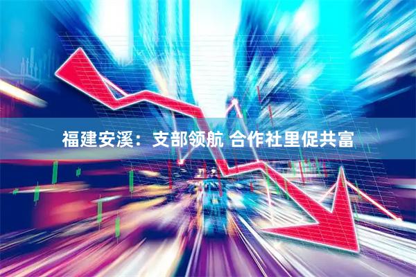 福建安溪：支部领航 合作社里促共富