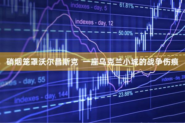 硝烟笼罩沃尔昌斯克  一座乌克兰小城的战争伤痕